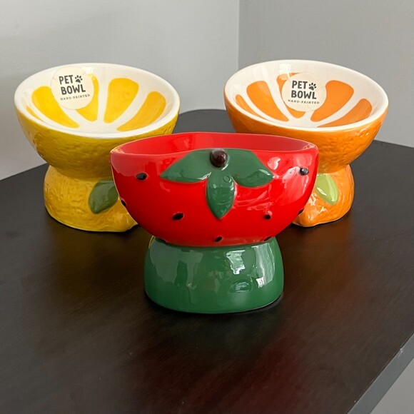 Other - Fruit Theme Ceramic Elevated and Tilted Cat Bowls
